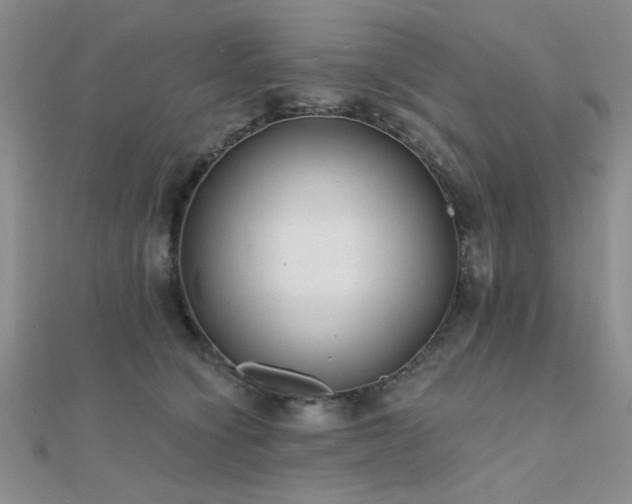 X0000112180564200908071328