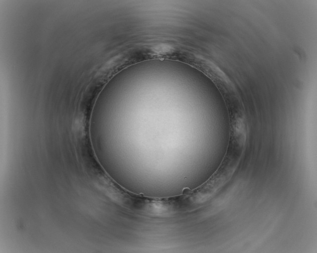 X0000112180565200908071328