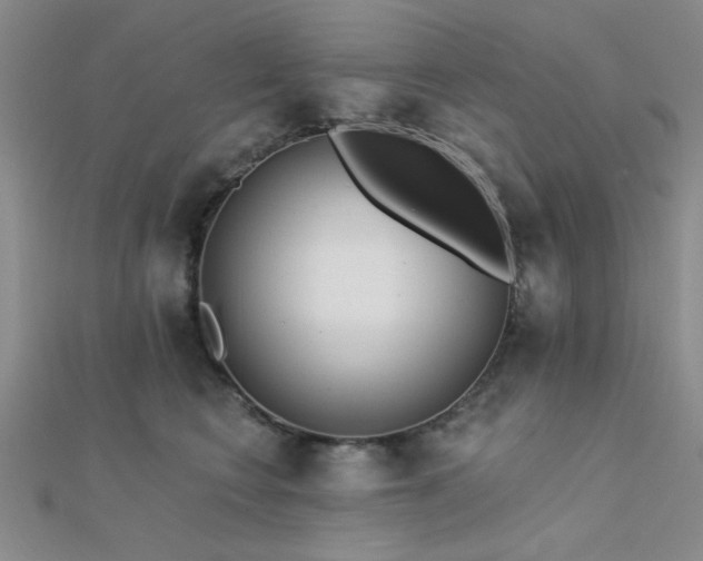 X0000112180566200908071329