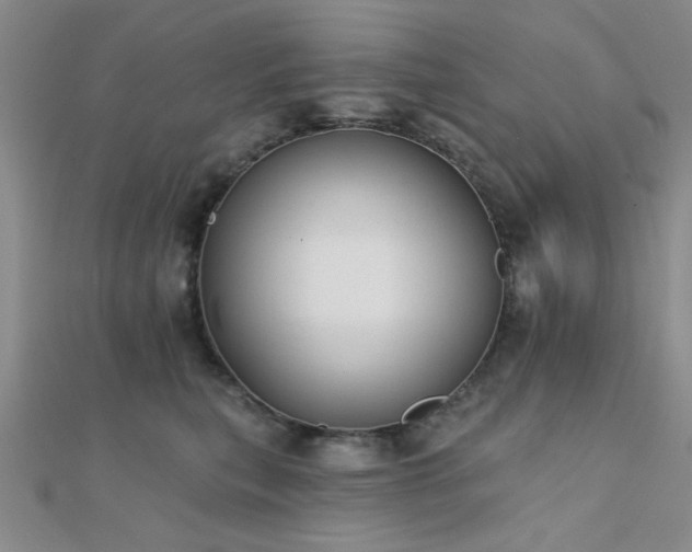 X0000112180567200908071329