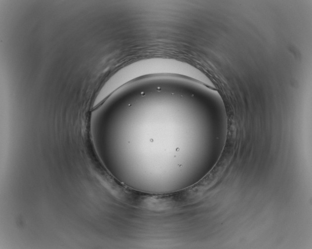 X0000112180568200908071329