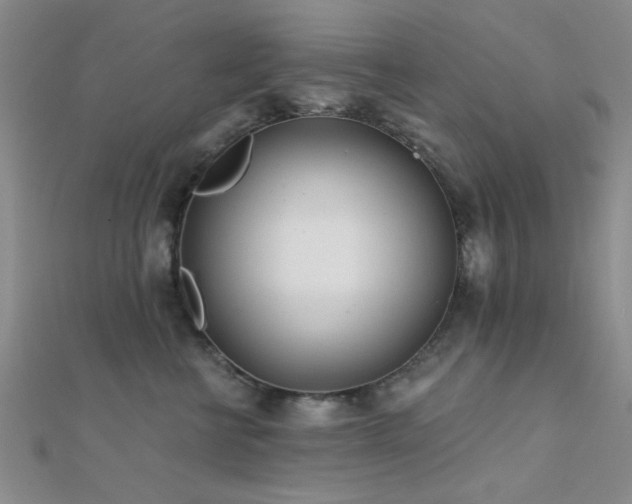 X0000112180570200908071329