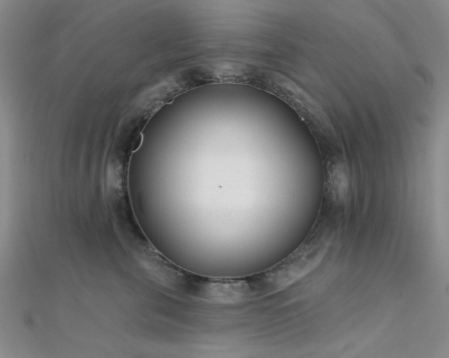 X0000112180571200908071329