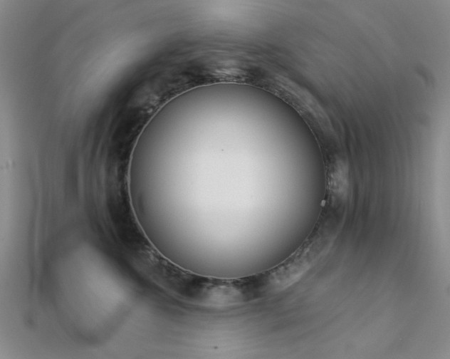 X0000112180572200908071329