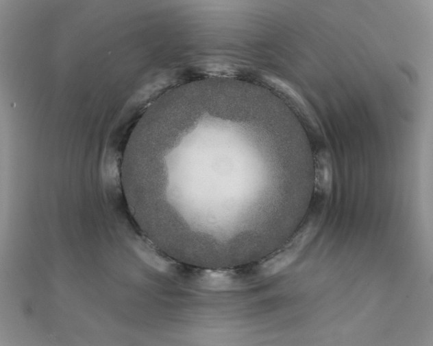 X0000112180573200908071329