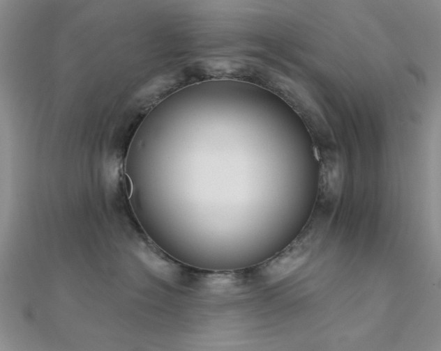 X0000112180574200908071329