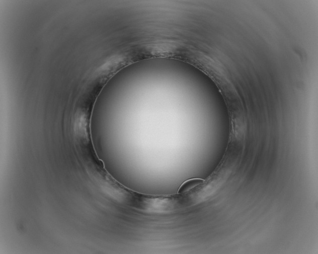 X0000112180575200908071329