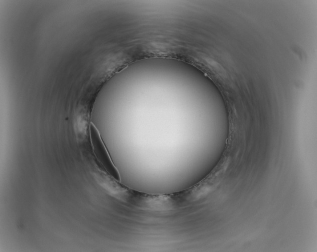 X0000112180576200908071329