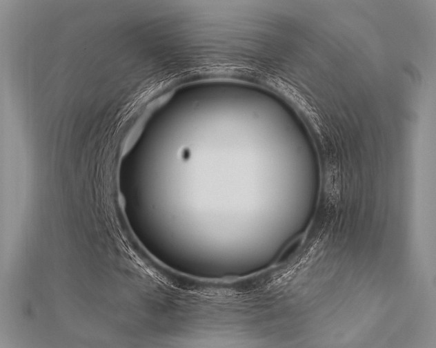 X0000112180577200908071328