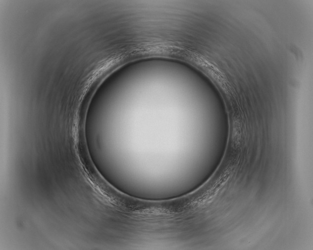 X0000112180578200908071328