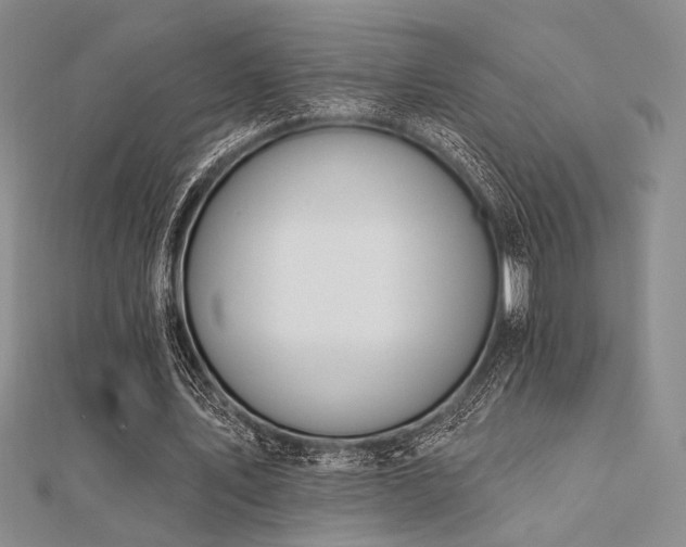 X0000112180579200908071328