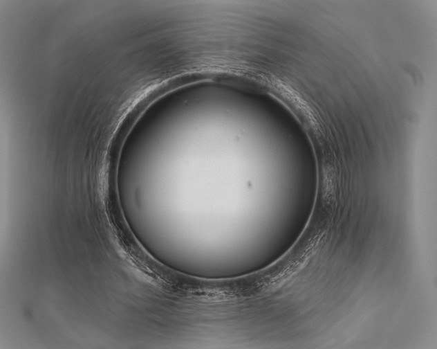 X0000112180580200908071328