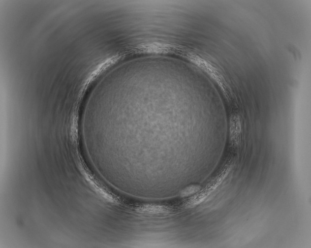 X0000112180581200908071328