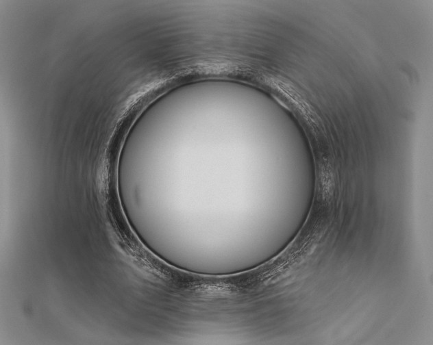 X0000112180583200908071328