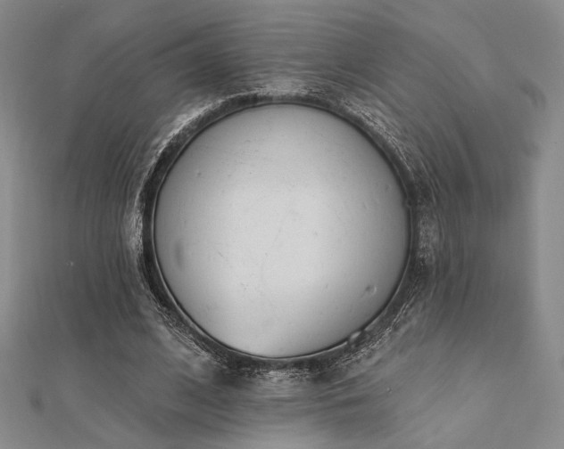 X0000112180584200908071328