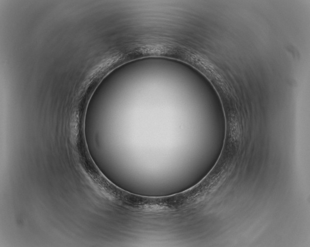 X0000112180586200908071328