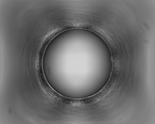 X0000112180587200908071328