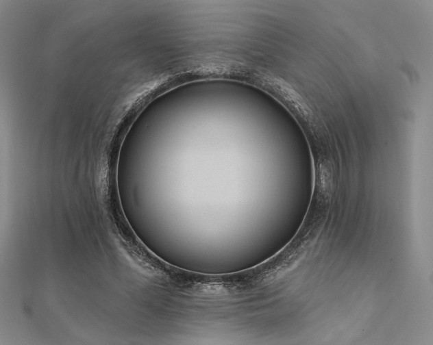 X0000112180588200908071328