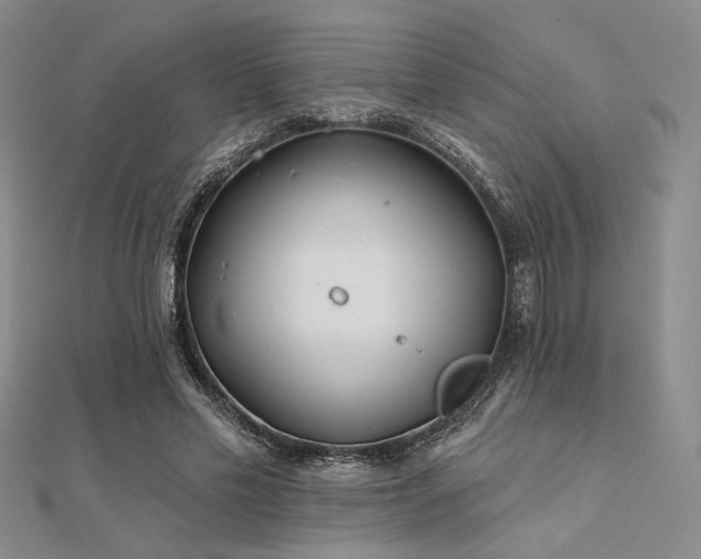 X0000112180589200908071328