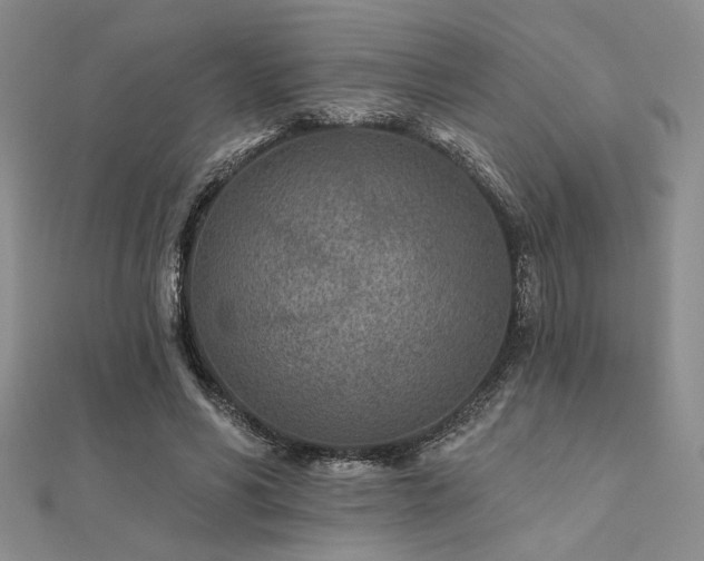 X0000112180590200908071328