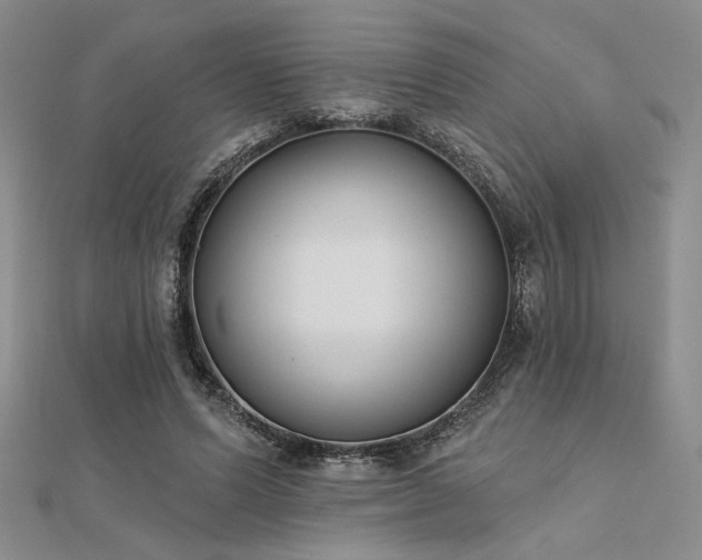 X0000112180591200908071328