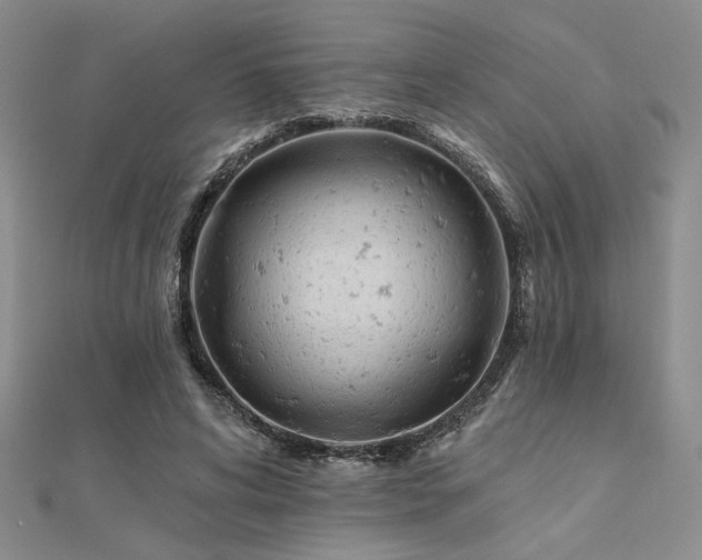 X0000112180592200908071328