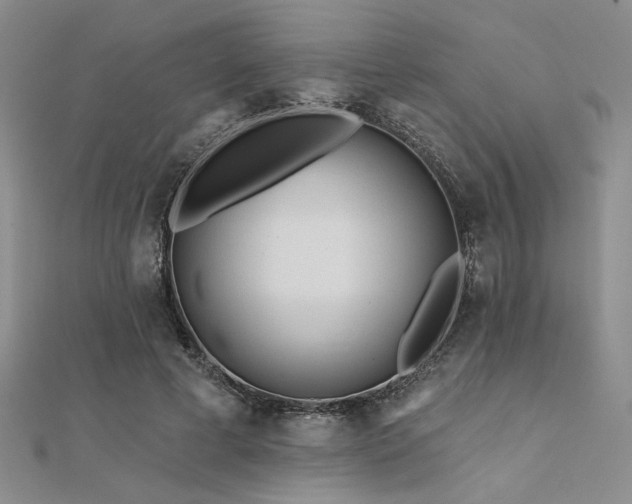 X0000112180593200908071328