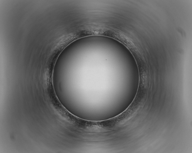 X0000112180594200908071328