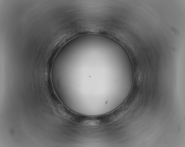 X0000112180595200908071328