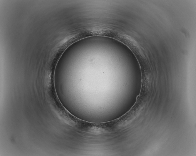 X0000112180596200908071328