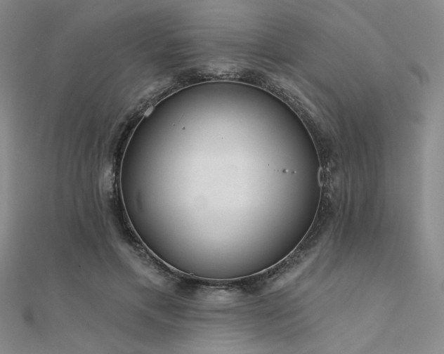 X0000112180597200908071328