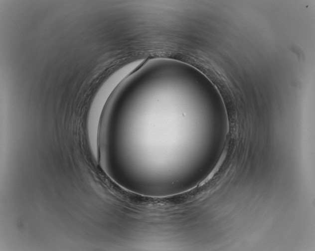 X0000112180599200908071328