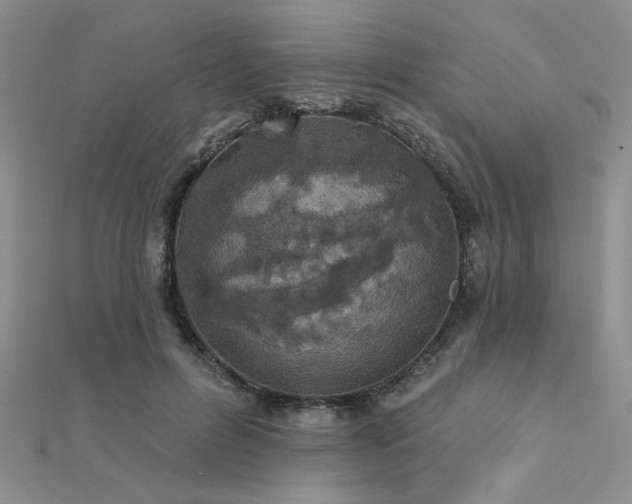 X0000112180600200908071328