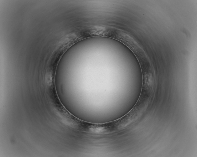 X0000112180602200908071328