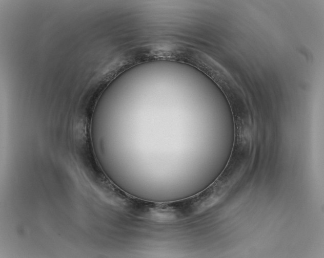 X0000112180603200908071328