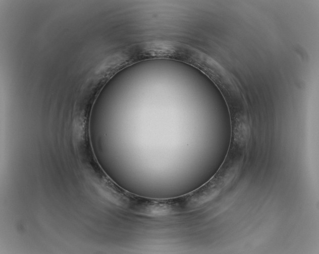 X0000112180604200908071328