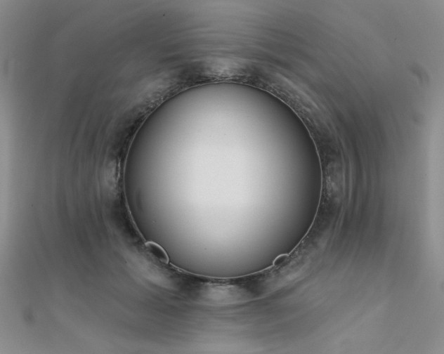 X0000112180605200908071328