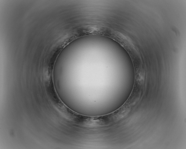 X0000112180607200908071328