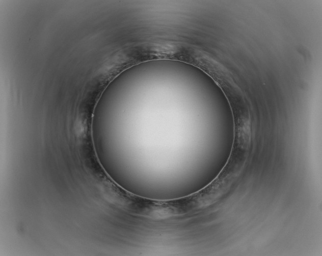 X0000112180608200908071328