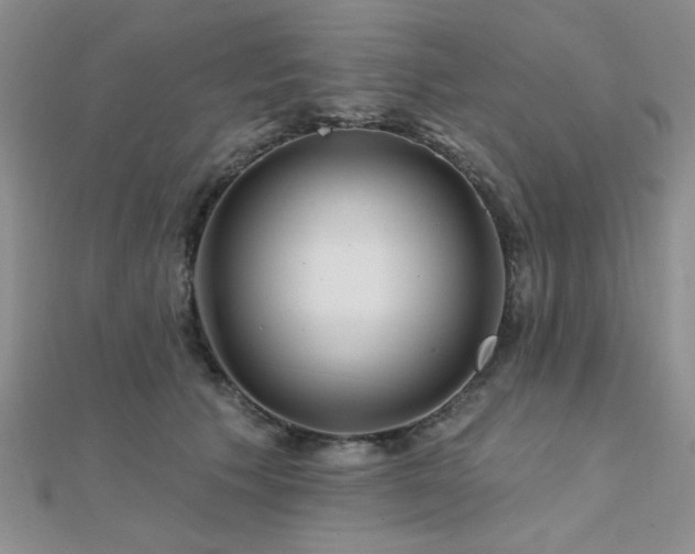 X0000112180609200908071328