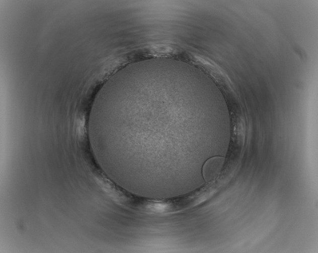 X0000112180610200908071328