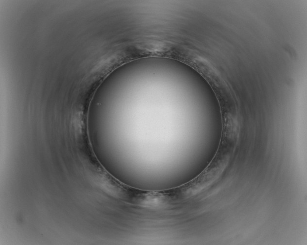 X0000112180612200908071328