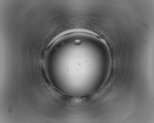 X0000112180613200908071328