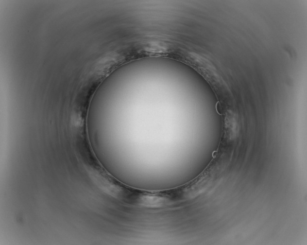 X0000112180614200908071328