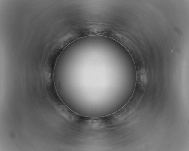 X0000112180615200908071328