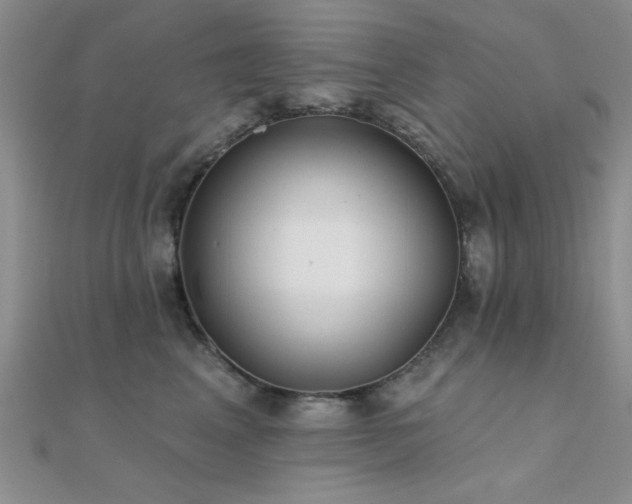 X0000112180617200908071328