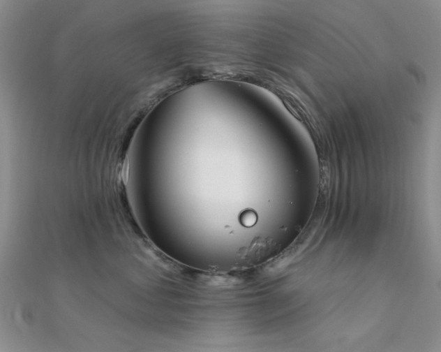 X0000112180621200908071327