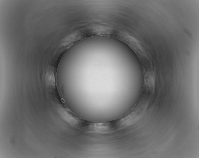 X0000112180622200908071327