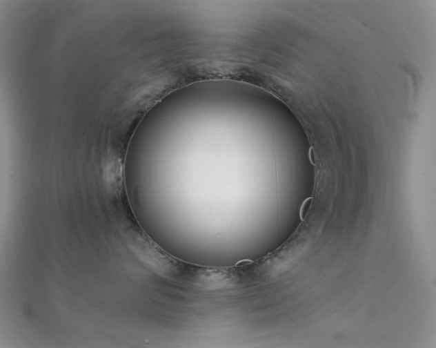 X0000112180624200908071327