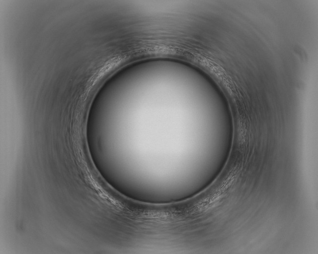 X0000112180625200908071327